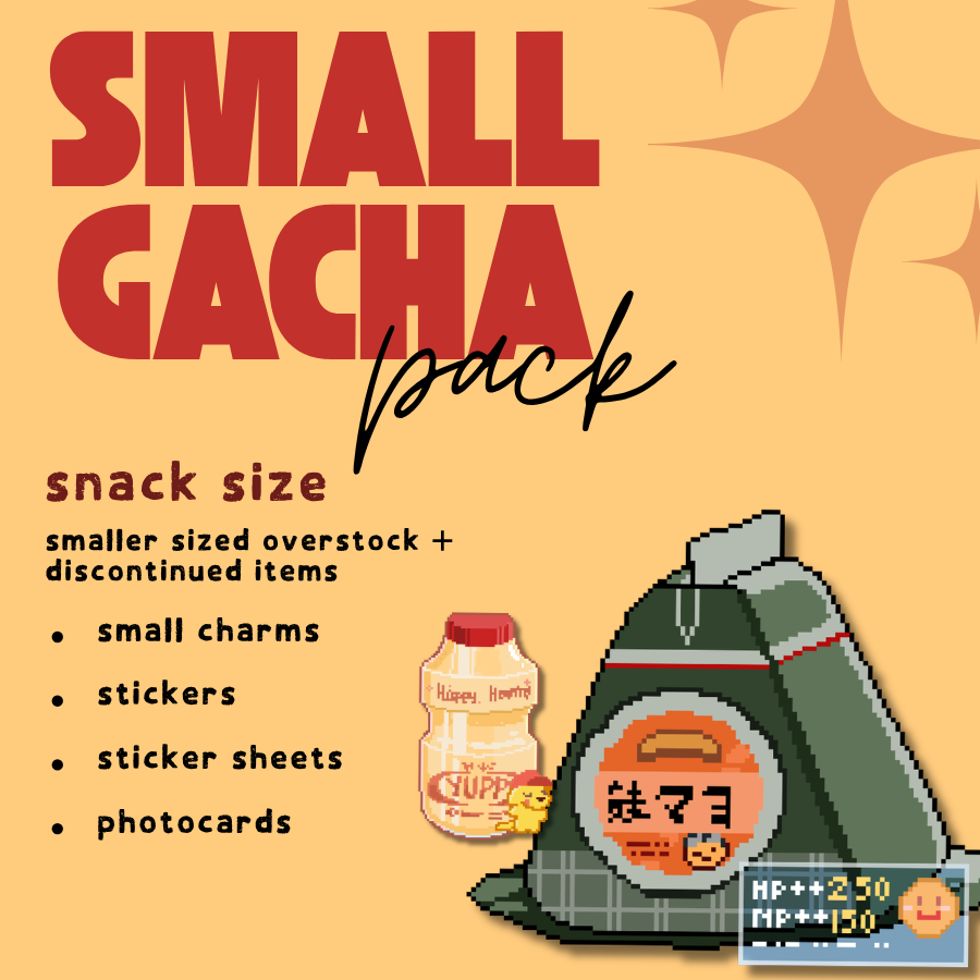 Small Grab Bag Discontinued Merch